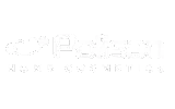 polisan boya